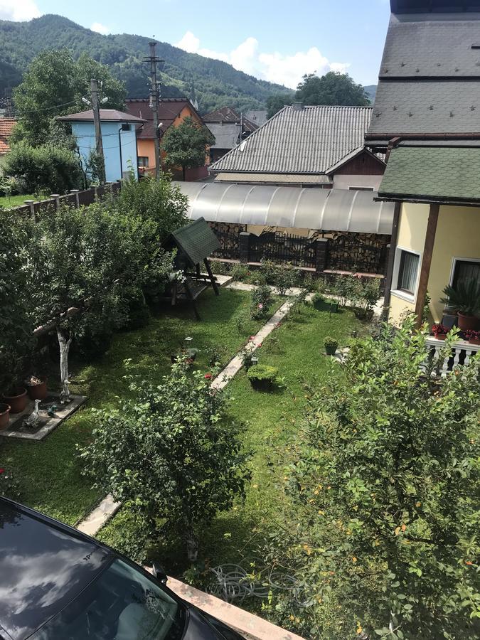 Pensiunea La Raducu Vişeu de Sus Exterior foto